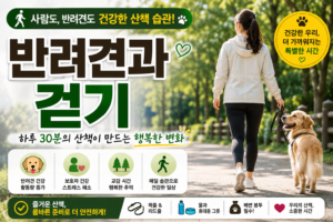 반려견과 걷기 썸네일